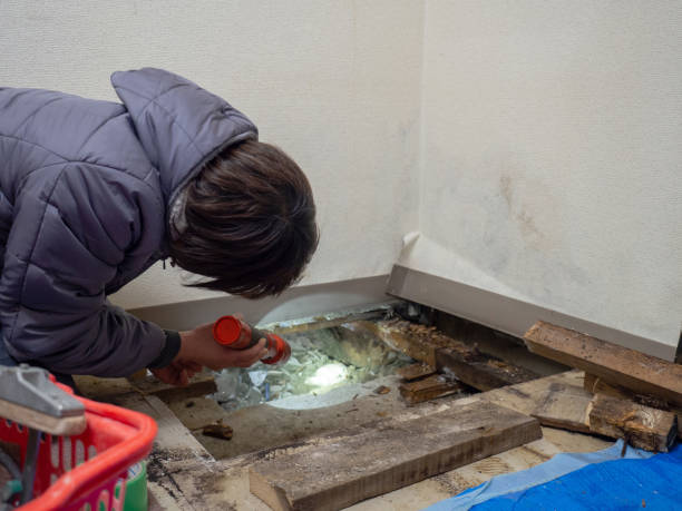 Best Crawl Space Mold Remediation  in Harrisburg, SD