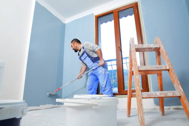 Mold Documentation for Insurance Claims in Harrisburg, SD