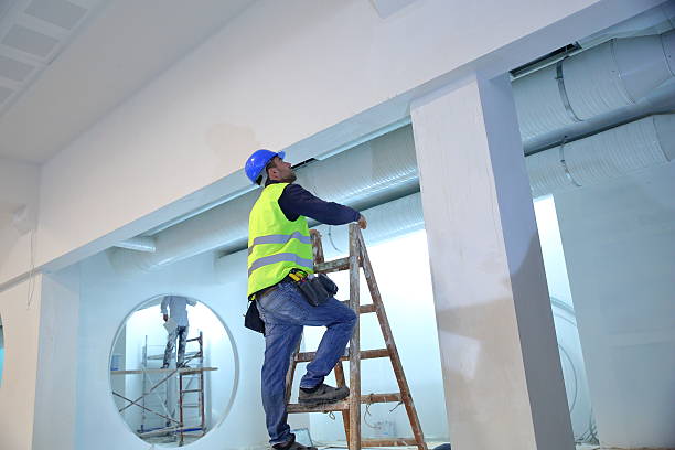 Best Attic Mold Removal  in Harrisburg, SD